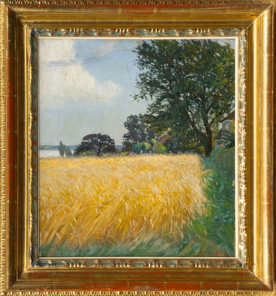 Reifes Kornfeld - Bild 2