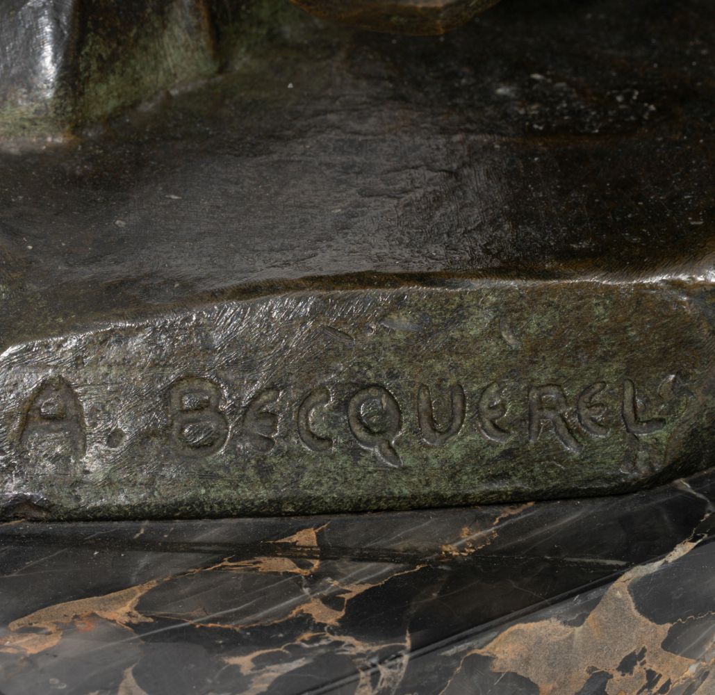 Panther auf der Lauer - Bild 4