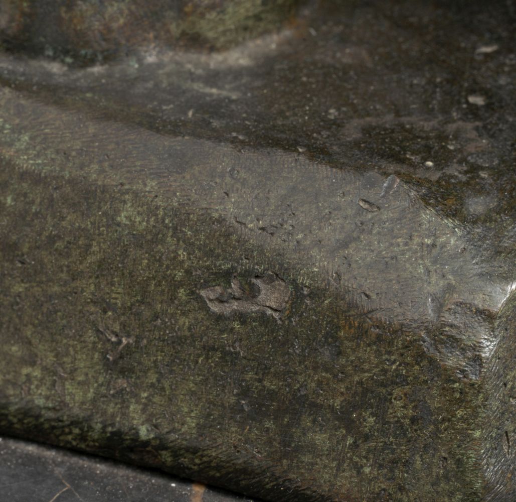 Panther auf der Lauer - Bild 5