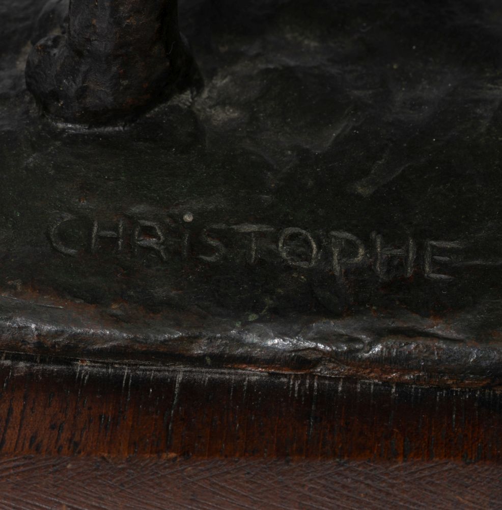 Französische Bulldogge - Bild 4