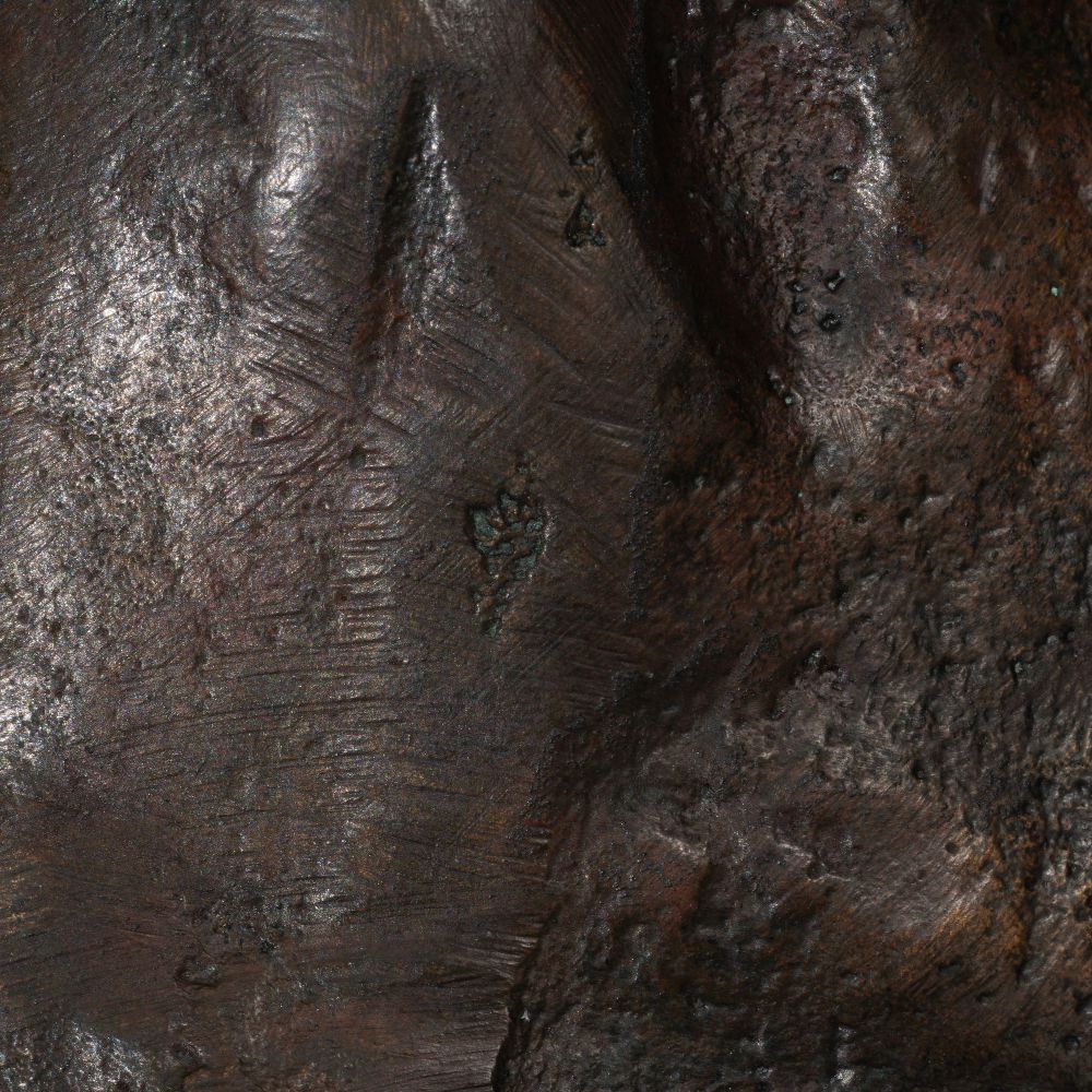 Spielender Bär - Bild 3