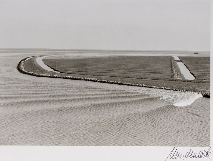 Zen - Landschaft Pellworm