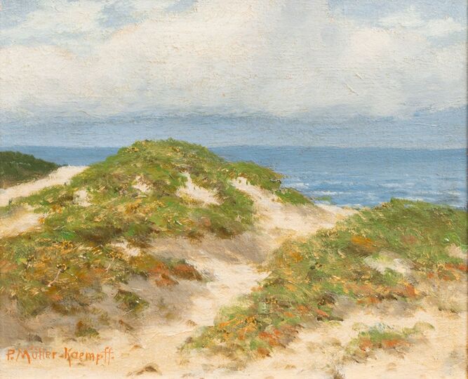 Dünen an der Ostsee