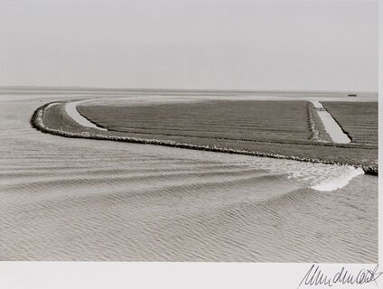 Zen - Landschaft Pellworm