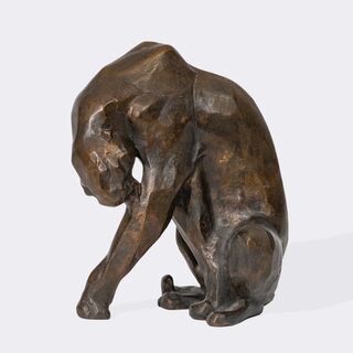 Sich leckender Panther