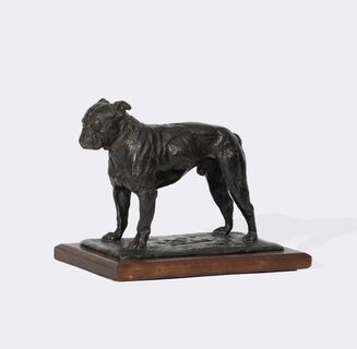 Französische Bulldogge