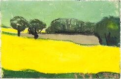 Blühender Raps - Bild 1