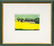 Blühender Raps - Bild 2