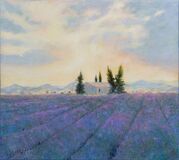 Lavendel am Abend - Bild 1