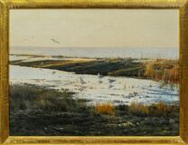 Möwen am Ufer - Bild 2