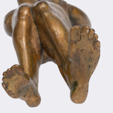 	Musikfreund - Bild 3