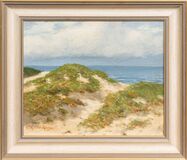 Dünen an der Ostsee - Bild 2