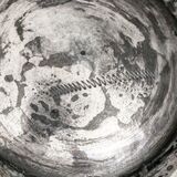 Rokoko-Kaffeekanne - Bild 2