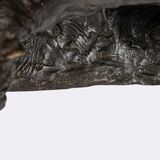 Lionne se tournant - Bild 3