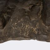 Kleine Taucherin - Bild 3