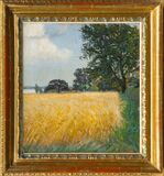 Reifes Kornfeld - Bild 2