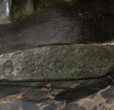 Panther auf der Lauer - Bild 4