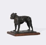 Französische Bulldogge - Bild 1