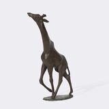 Schreitende Giraffe - Bild 1