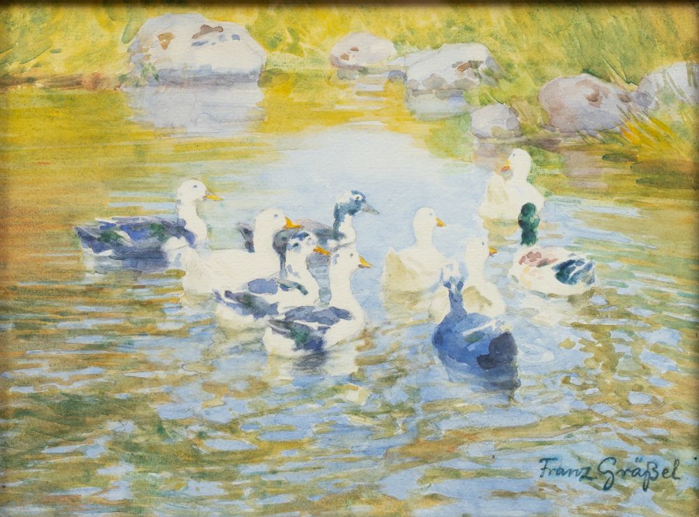 Ducks in the Water