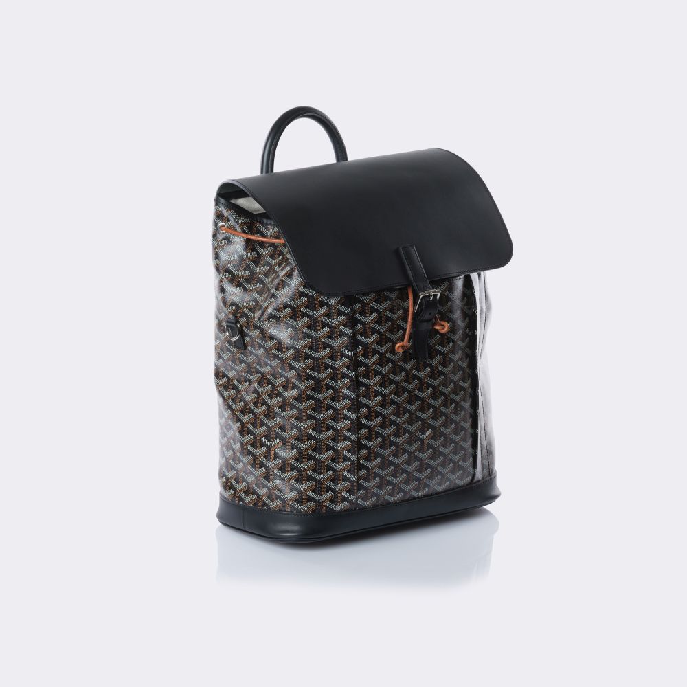 Alpin MM Backpack - image 2
