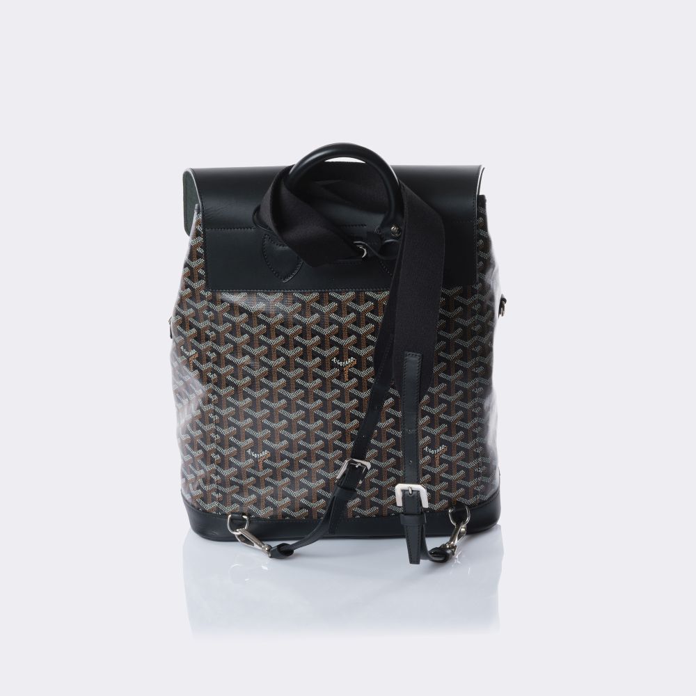 Alpin MM Backpack - image 3