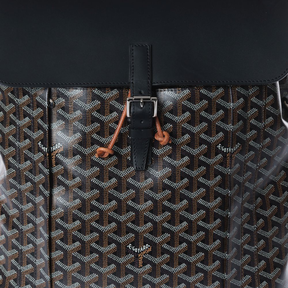 Alpin MM Backpack - image 5