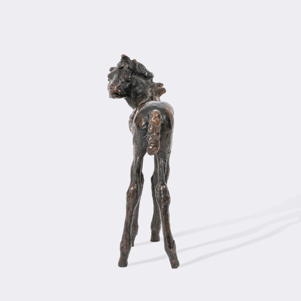 A Foal Looking Back - image 2