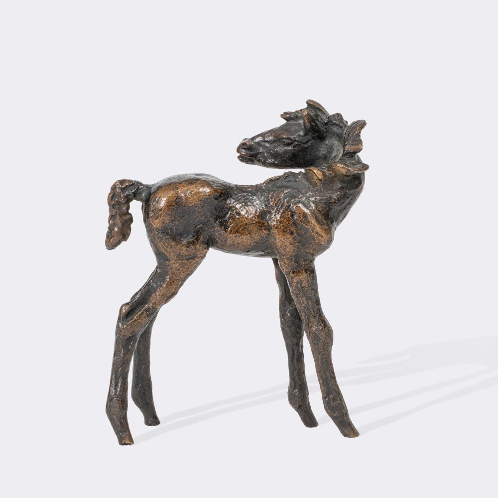 A Foal Looking Back - image 3
