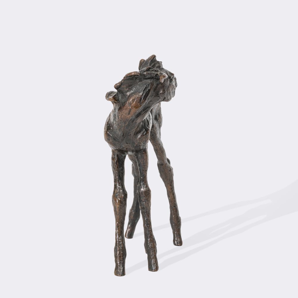 A Foal Looking Back - image 4
