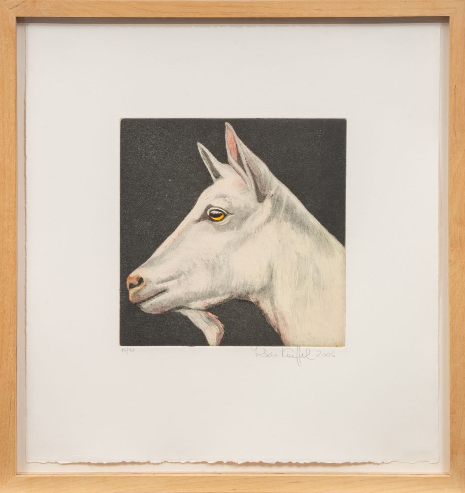 Tierköpfe - Bild 12