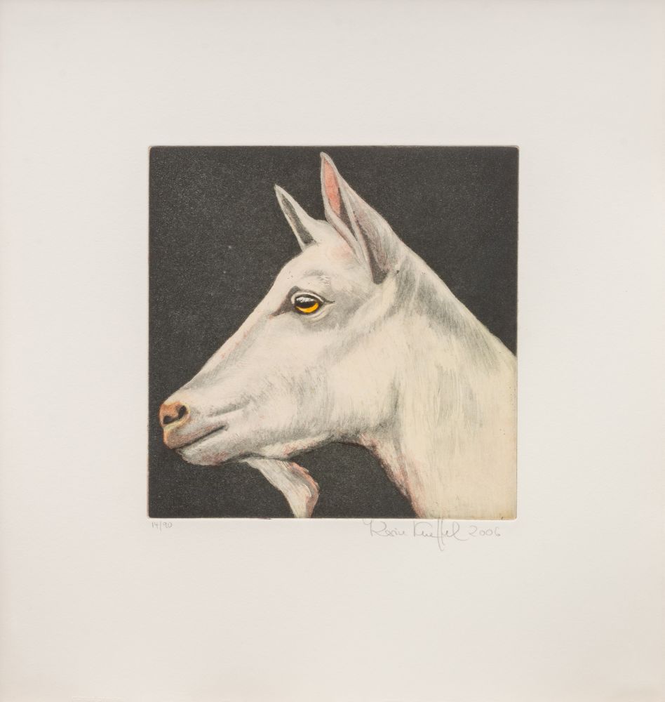 Tierköpfe - Bild 6