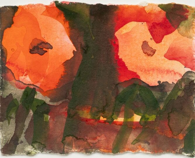 Poppies