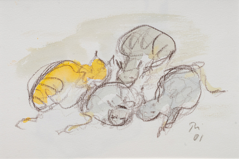 Vier Katzen