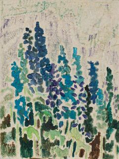 Larkspur Bloom in Colfosco