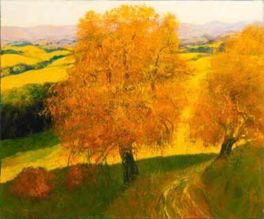 Oak Trees in the Provence