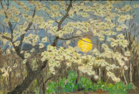 Blossoming Tree