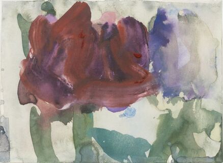 Dark red flowers