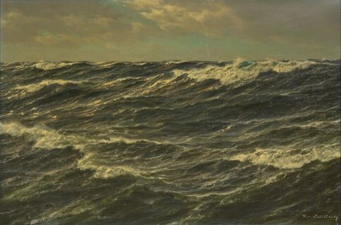 Open waters