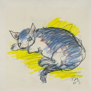 Sleeping cat
