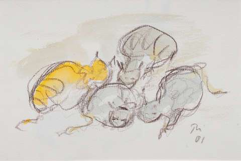 Four cats