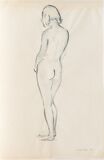 Female nude