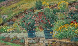 Blumen im Stadtpark - Bild 1
