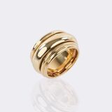 Rotating Bandring - image 1