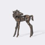 A Foal Looking Back - image 1