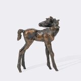 A Foal Looking Back - image 3