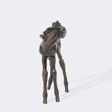 A Foal Looking Back - image 4
