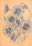 Marguerites - image 1