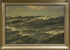 Open waters - image 2