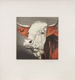 Tierköpfe - Bild 4